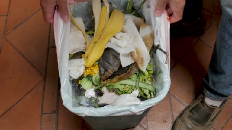 Best Recycling Services for Junk  in Mackinac Island, MI